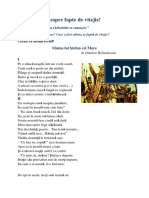 Microsoft Word - 03-Condila-Irina-RED-TR_Planif_unitate_invatare_IV_ROM.doc