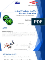 Cuantificación de ATP Celular (CATP)