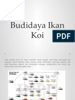 Budidaya Koi - Mata Kuliah Budidaya Ikan Hias