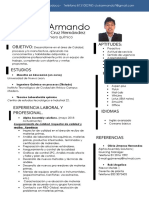 CV Luis Armando