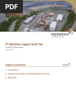 MDKA Investor Presentation Jan 2021 English  PDF  Mining  Investor