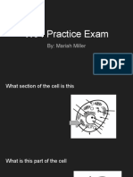 W04 Practice Exam: By: Mariah Miller