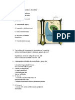 Diapositiva 1 - Parcial 2