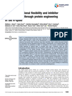 Nek7 Conformational Flexibility and Inhibitor Binding Probed Through Protein Engineering of The R-Spine