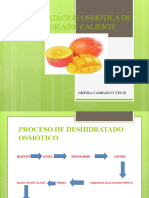 Deshidratacion Osmotica de Mango Por Aire Caliente Trabajo