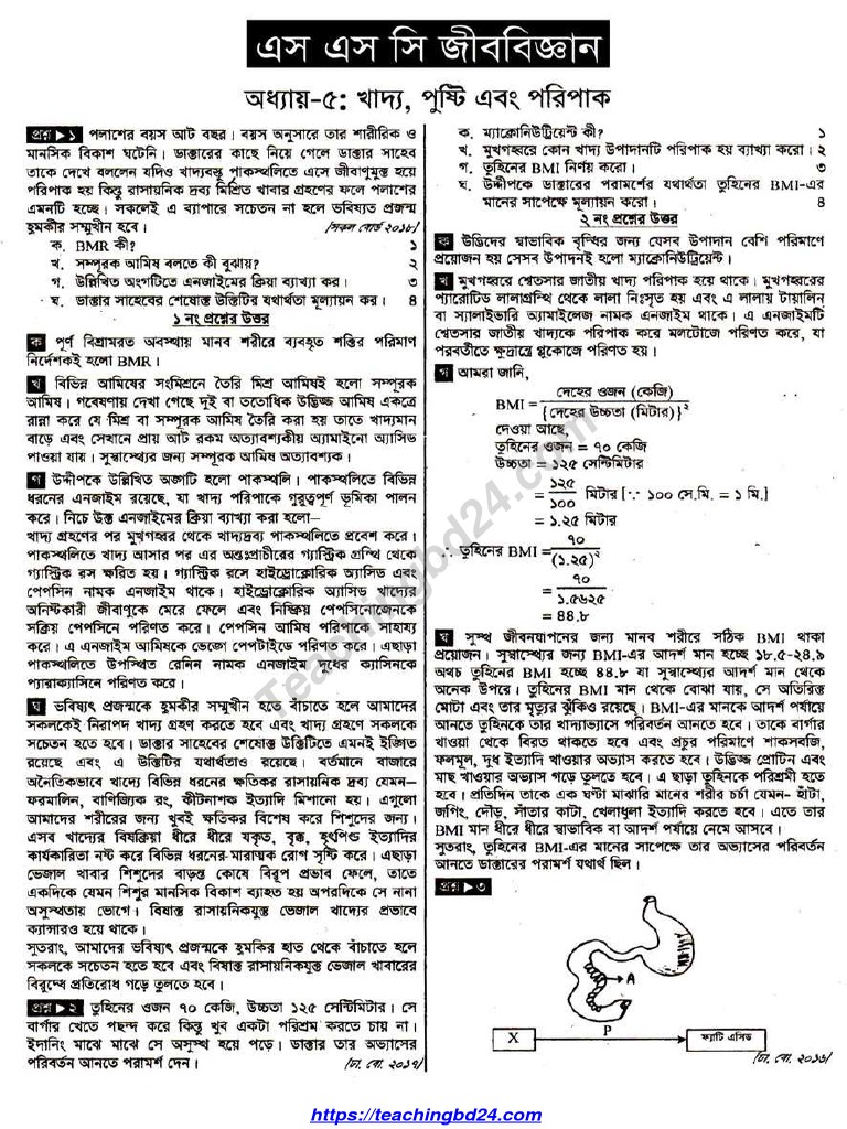 SSC Biology Chapter 5 Notes | PDF | Lifestyle | Teaching Methods ...