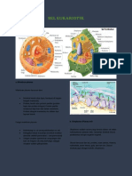 Sel Eukariotik Uswatul Fajri
