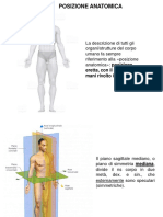 Anatomia-1-SFA-2020