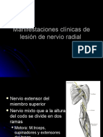 Manifestaciones clínicas de lesión de nervio radial