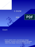 1.enzim 2021