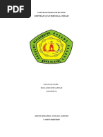0. Isna_LP+Askep Minggu 1-Revisi
