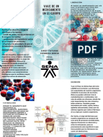 Viaje de un medicamento en el cuerpo: absorción, distribución, metabolismo y excreción