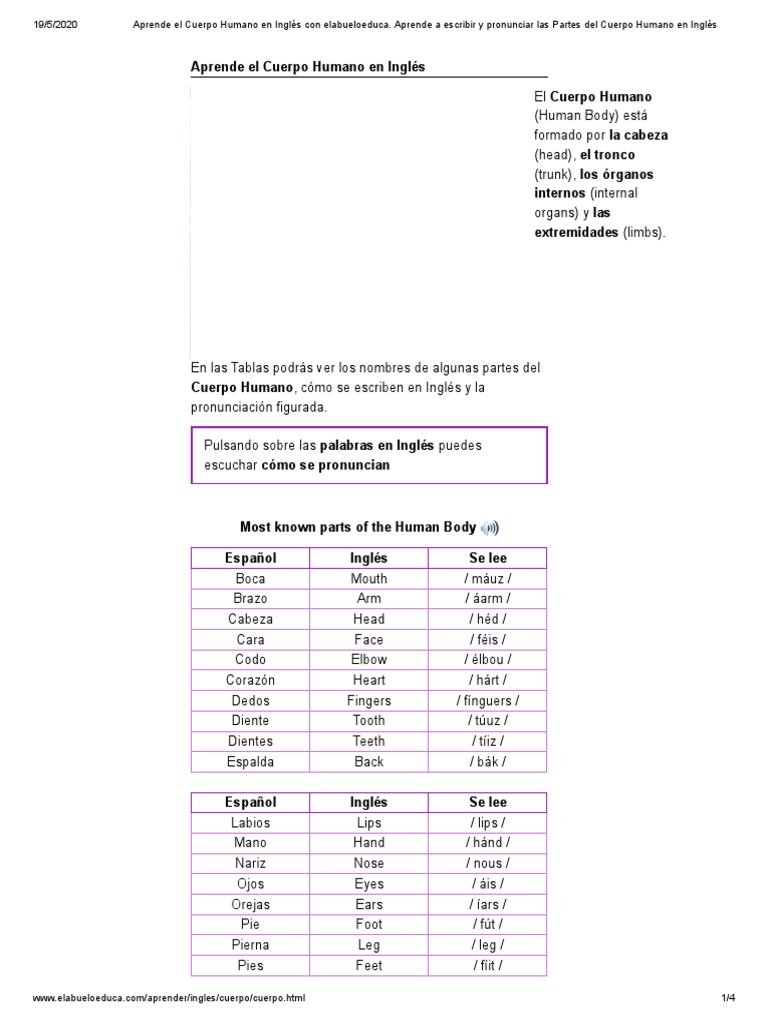 Aprende El Cuerpo Humano en Inglés Con Elabueloeduca. Aprende A ...
