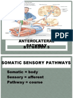 Anterolateral Pathway: By: Group 5