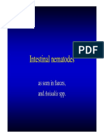 Intestinal Nematodes: As Seen in Faeces, and Anisakis SPP