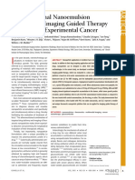 Multifunctional-Nanoemulsion platform for imaging guided therapy evaluated in experimental cancer