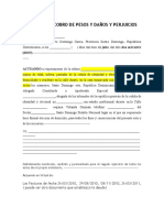 Demanda en Cobro de Pesos y Daños y Perjuicios Marleny