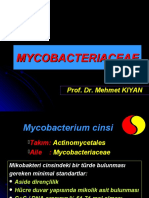 MYCOBACTERIUM