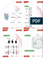 3 BIOQUIMICA_002