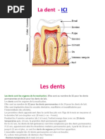 Dentisterie Dent Mouton