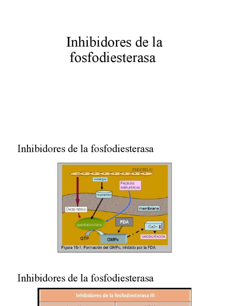 Inhibidores de La Fosfodiesterasa PDF Óxido nítrico sintasa