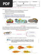 Naturales Guia 6 Mezclas