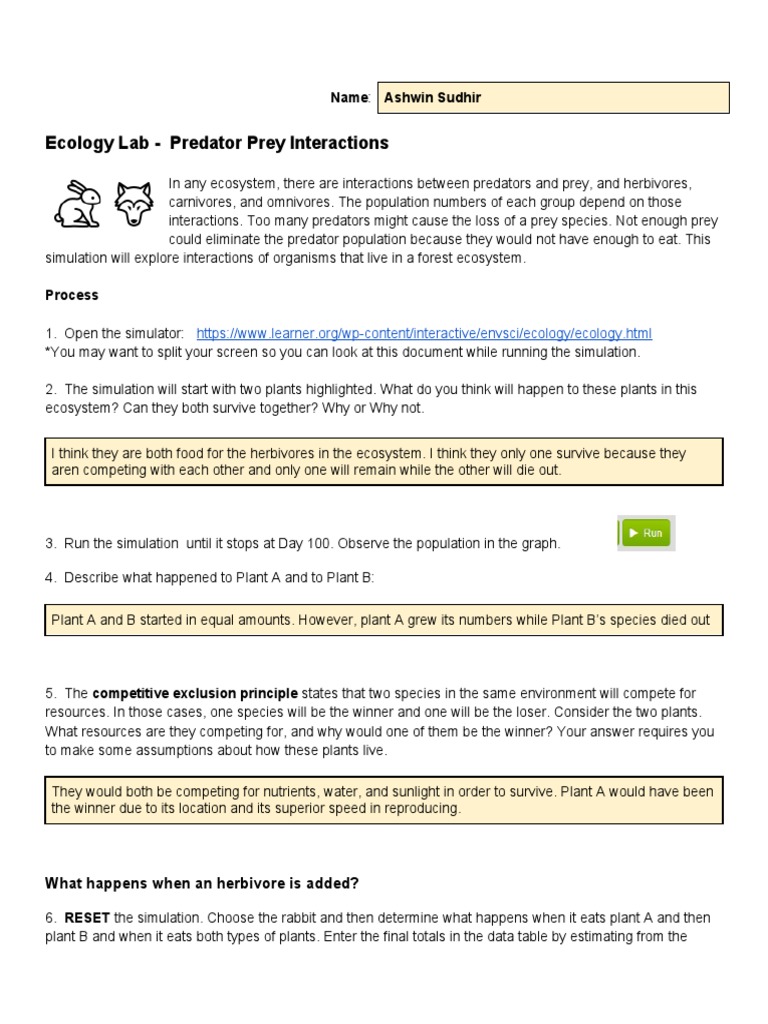 Ecology Lab Predator Prey Interactions Predation Herbivore