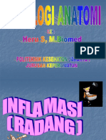 Inflamasi_D3 Keperawatan PKJ 1