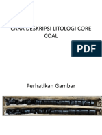 Cara Deskripsi Litologi Core Coal