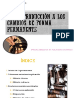 T 27 Introducción A Los Cambios de Forma Permanente