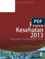 Profil Kesehatan Kotim 2014