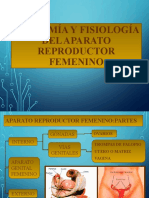 Fisiologia Del Sistema Reproductor Femenino 