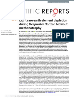 Light Rare Earth Element Depletion During Deepwate