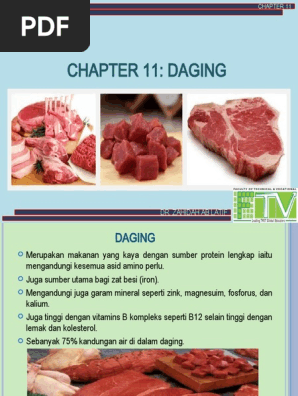 Chapter 11 Meat Pdf