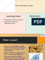 01b Respiration in Yeast