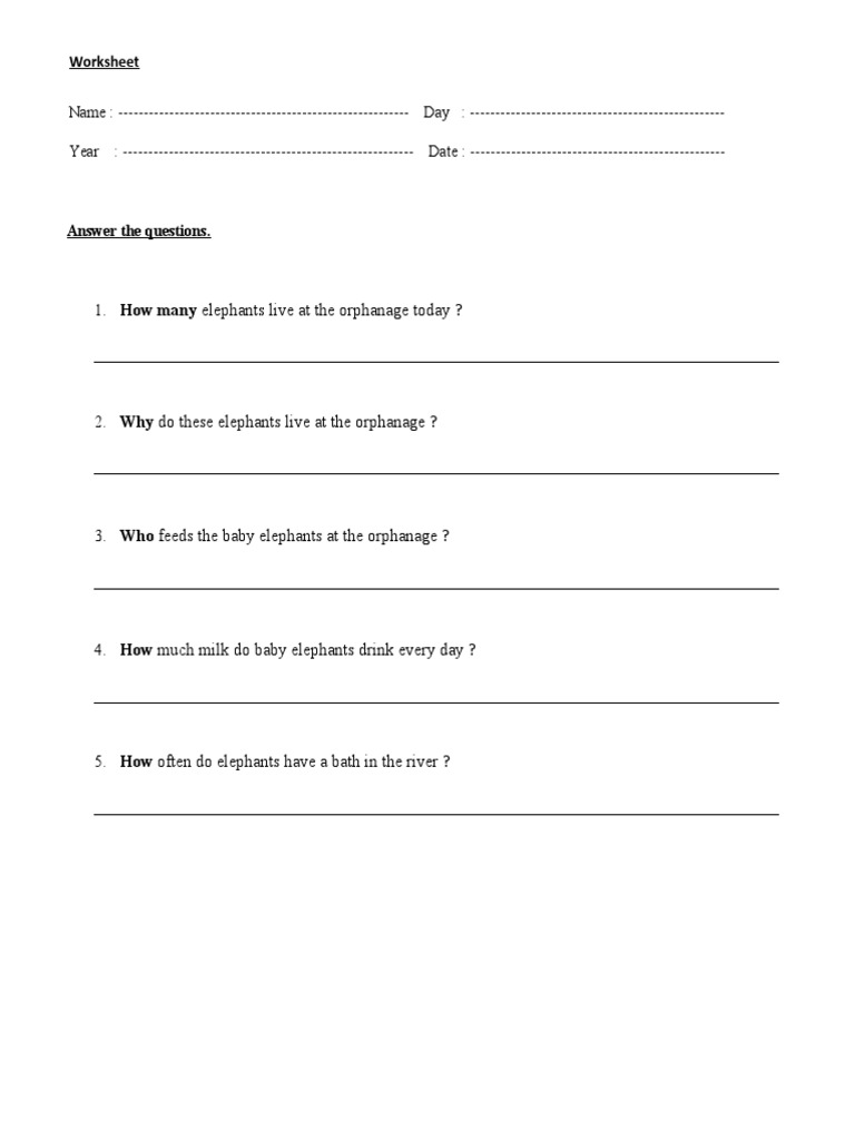 Elephant Observation Worksheet | PDF