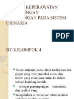 Asuhan Keperawatan Anak Dengan Peradangan Pada Sistem Urinaria