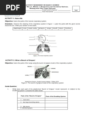 ACTIVITY WORKSHEET.9 SCIENCE
