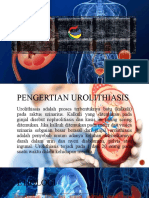 Putu Ari - (PPT - Urolithiasis)