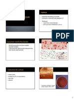 9 Clostridium