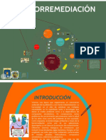 presentación_biorremediación
