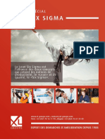eBook Lean6sigma Xlgroupe 2016 624134