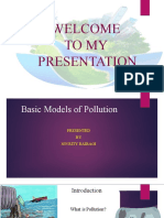 Basic Models of Pollution