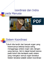 sistem-koordinasi-dan-indra-pada-manusia