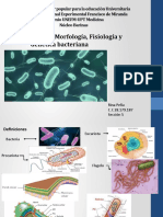 Presentacion Del Tema 1 Morfologia Fisiologia y Genetica Bacteriana