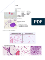 Fira - 412118046 - Anemia Aplastik, Hemolisis, Megaloblastik