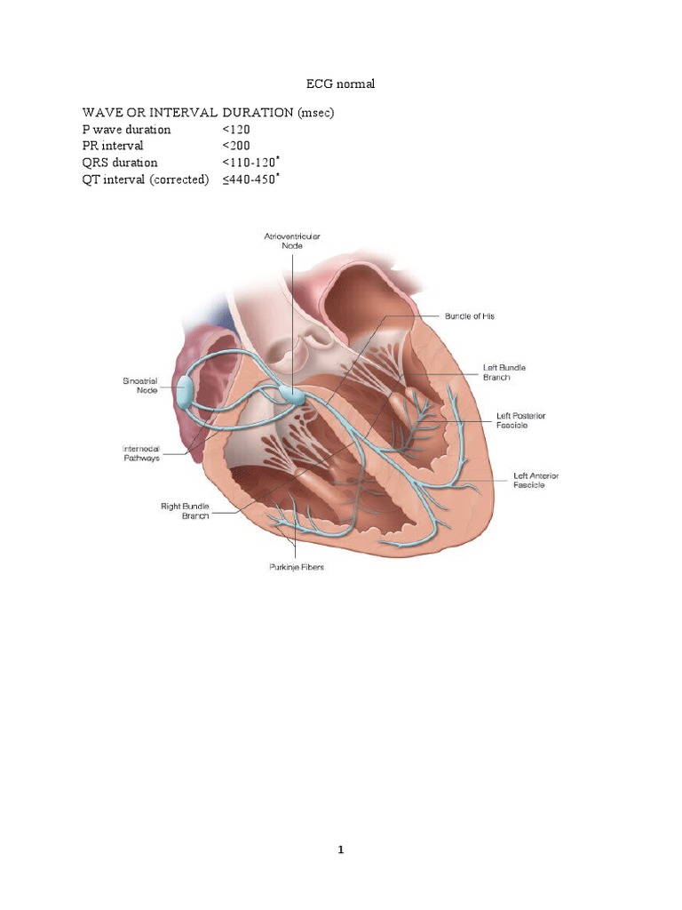 ECG Normal | PDF