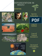 brazil deforestation flyer