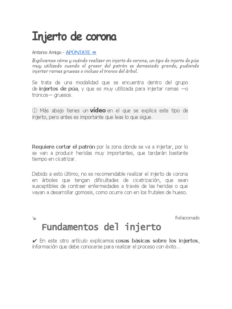 Evita los malos hábitos y veras la diferencia. Cuida tus rizos como se  merecen y ellos brillarán por ti 🌟 son tu corona! #misscurly #misscurlygt  #rizosdefinidos #consejospararizadas #curlyhair #curly, image size:768x1024