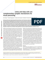 Thalamic Interneurons and Relay Cells Use Complementary Synaptic Mechanisms For Visual Processing